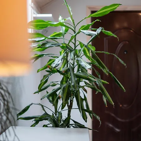 3-cie Pietro Appartement Polanica-Zdrój