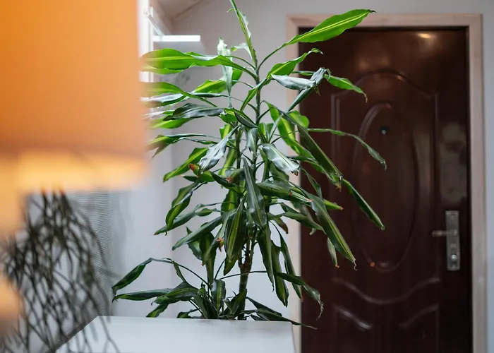 3-cie Pietro Lägenhet Polanica-Zdrój